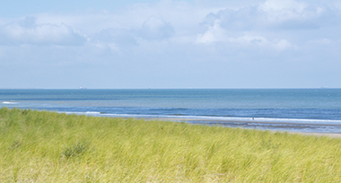 Zee en de duinen