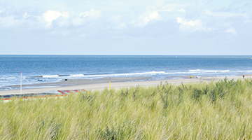 Strand van Ter Heijde aan Zee